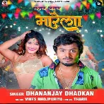 Kach Kach Marela (Dhananjay Dhadkan) 2024 Mp3 Song