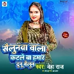 Salunwa Wala Katle Ba Hamar Dunu Baloon (Neha Raj) 2024 Mp3 Song
